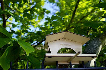 Vogelfutterhaus sowie Bienenhaus als Weltspartaggeschenke aus den Jahren 2019 & 2020