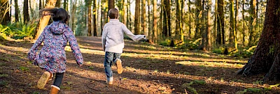 Klima-Initiative / Laufende Kinder im Wald