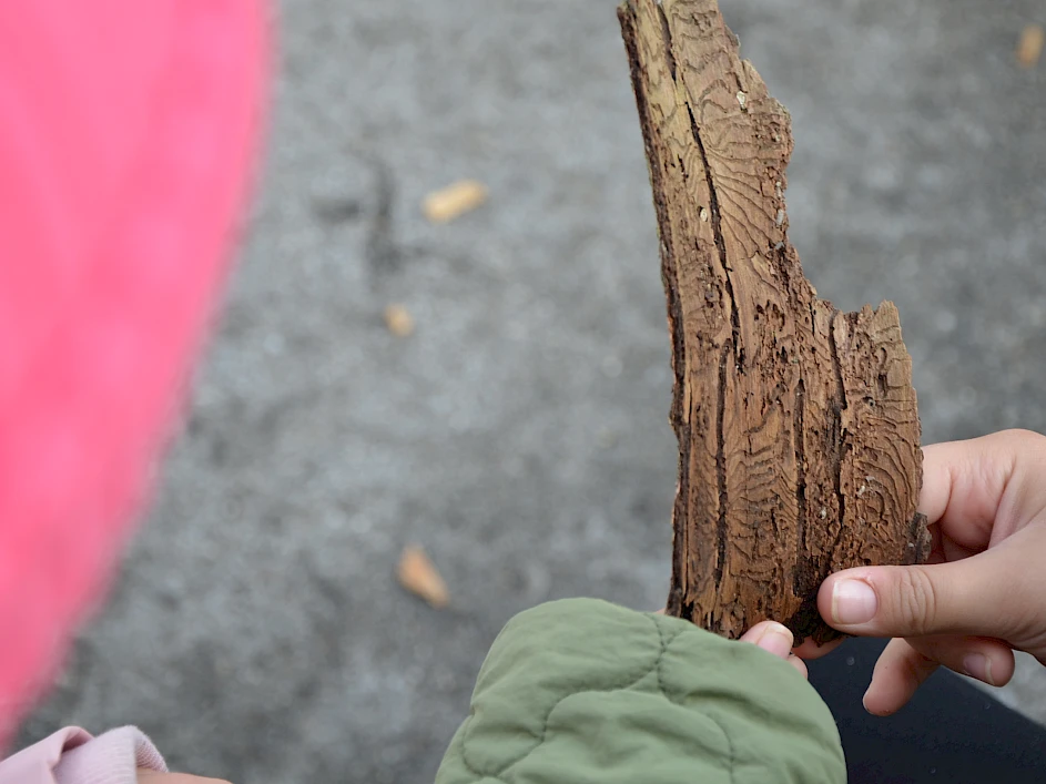 Klimabildung an der Marienschule Ochtrup