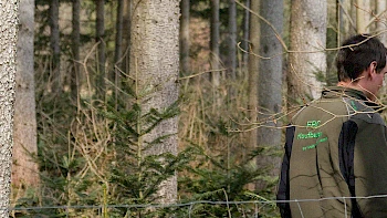 Unser Wald