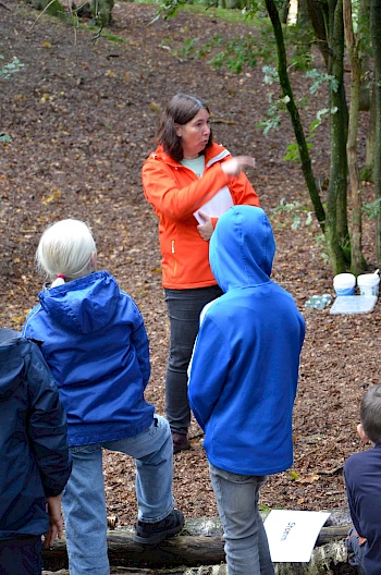 Klimabildung an der Ludgerusschule Wettringen