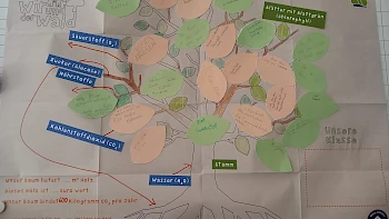 Volksbank Konstanz – Wir und der Wald