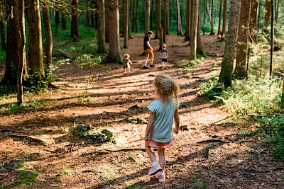 Kleines Mädchen geht bergab durch den Wald über einen steinigen Weg