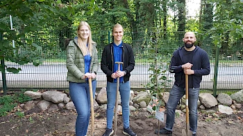 Dein Baum für die Region