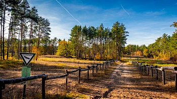 Lebensraum Rhein | Flächenpflege und Sensibilisierung der Öffentlichkeit zum Erhalt der Biodiversität
