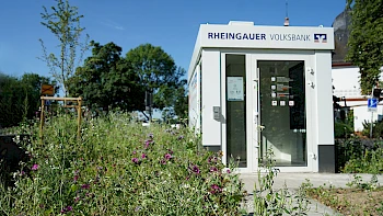 Pflanzung Hattenheim, Parkplatz Rheinallee, SB-Stelle