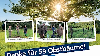 Obstbaum statt Altpapier Wiefelstede