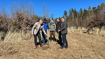 17.800 Bäume für VR-Bank Wald in Parnkofen