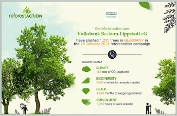reforestACTION - Nachhaltiger Impact (Eslohe)