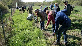 VB Magdeburg: Ein Baum für jedes neue Mitglied