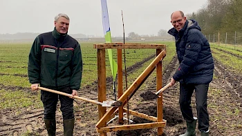 Aufforstung in Brokenlande