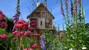 Hochbeete und Insektenhotels