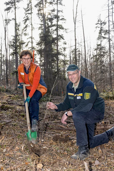 Sabine Kurtz und Anton Watzek Pflanzen im Wald einen Baum