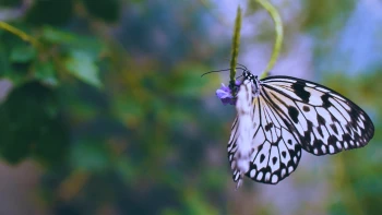 Aktion Südpfalz Biotope | Aufwertung/Renaturierung von Biotopen, Naturschutzprojekten und ökologisch wertvollen Flächen