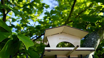 Vogelfutterhaus sowie Bienenhaus als Weltspartaggeschenke aus den Jahren 2019 & 2020