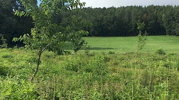 Raiffeisenbank-Wälder statt papierhafte Kontoauszüge