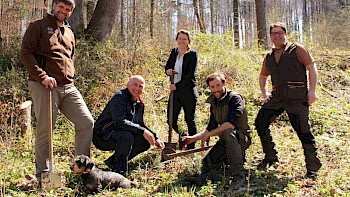 Bäume und Fledermaus-Nistplätze im Oberland