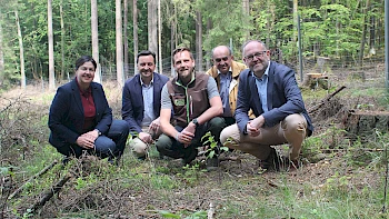 Ihr Baum für unsere Region - 350 neue E-Postfächer
