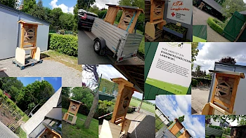 Wir schenken Bienen ein Zuhause!