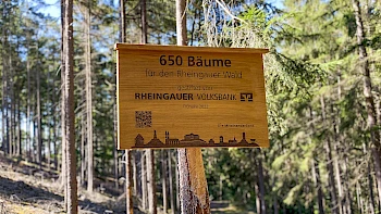 Pflanzung am Himmelssteig
