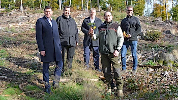 Mitgliederwald Volkmarsen