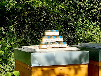 Bienenvölker im Bliesgau