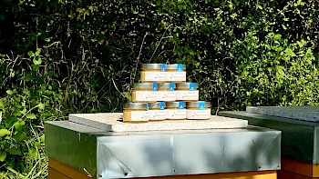Bienenvölker im Bliesgau