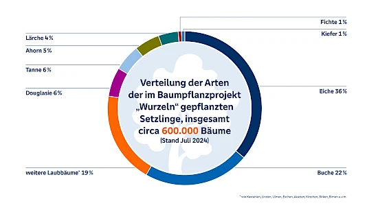Die Baumpflanzaktion „Wurzeln“ – eine Bewertung der Klimaschutzleistung