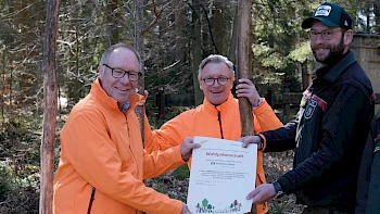 Aufbau eines klimastabilen Waldes