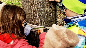 VR Bank Südpfalz mit Klimabildung in 31 Klassen