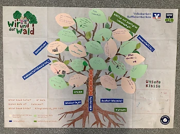 Klimabildung an Grundschulen (Region Nahe)