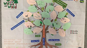Klimabildung an Grundschulen (Region Nahe)