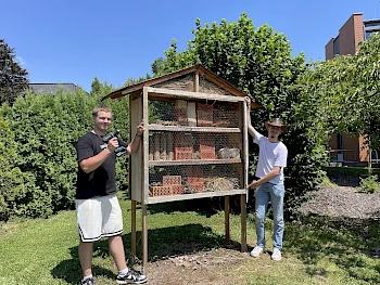 Insektenhotel - Projekt des Cusanus-Gymnasiums