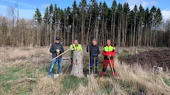 Weltsparwald Dommershausen