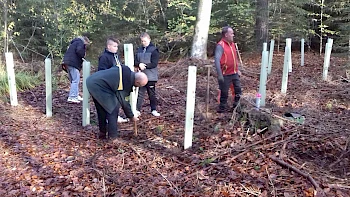 Zukunftsweisendes Waldprojekt der Klasse 7R