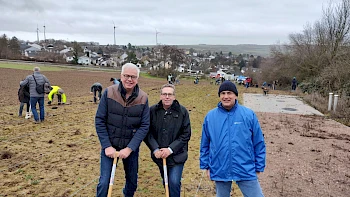 Klein-Winternheim: Aufforstung Laub-Mischwald
