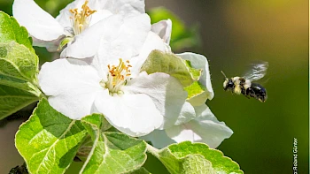 Spendenprojekt "naturVRbunden"
