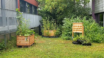 Sozialprojekt Garten³ | Eschbach-Gymnasium in Stuttgart-Freiberg
