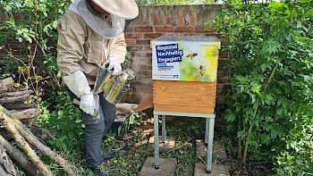 Bienen im Schulgarten