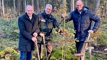 Waldumbau - VR Bank Wald in Heidmühlen