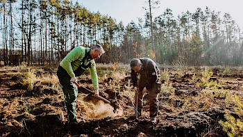 Bäume für neue Mitarbeitende