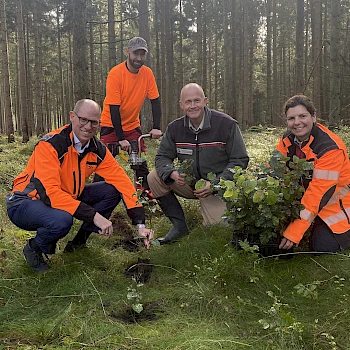 Wald-Wiederaufforstung als Klimaschutz-Projekt