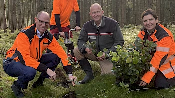 Wald-Wiederaufforstung als Klimaschutz-Projekt